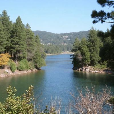 The primary subject of the image is a large body of water, which appears to be a lake. The setting is a forest, with trees surrounding the lake. The visual style is a photo, capturing the natural beauty of the scene. The colors and mood are serene and peaceful, with the blue water and green trees creating a calming atmosphere.